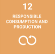 SDG 12 Responsible Consumption